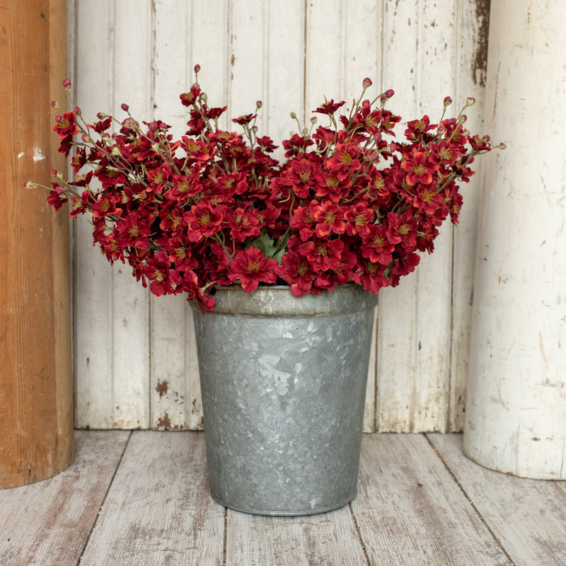 Old Rose Delphinium Stem