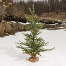 Pine Tree With Burlap Base 3'