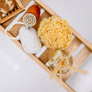 Sea Sponge - Petite Sized