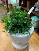 Lemon Beauty Ball - 5”