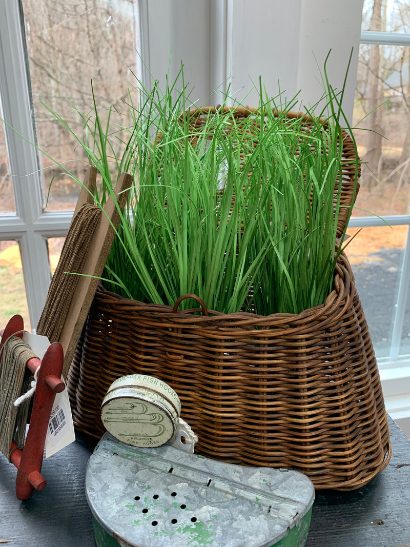 Wild Onion Grass Bulb 10”