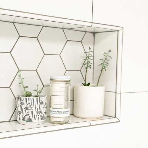 Eucalyptus Steam Shower Cubes